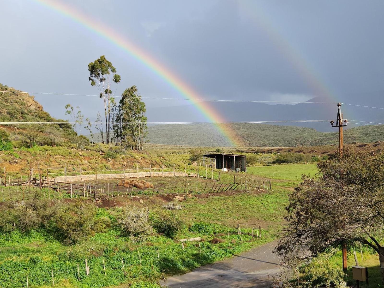 דירות מונטאגו Ludicks Farm חדר תמונה